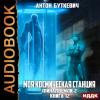 . Моя Космическая Станция. Книга 12. Финал Земли 2