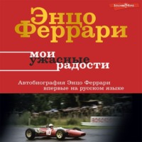 . Мои ужасные радости. История моей жизни