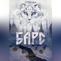 . Барс