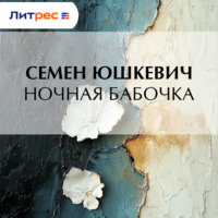 . Ночная бабочка
