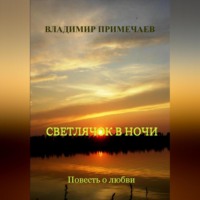 . Светлячок в ночи