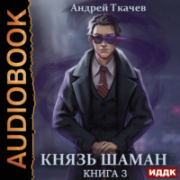 . Князь шаман. Книга 3