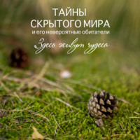 Елена Носова. Тайны скрытого мира и его невероятные обитатели. Здесь живут чудеса.