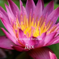 Виталий Александрович Кириллов. Дух