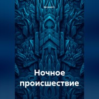 Евгений С.. Ночное происшествие