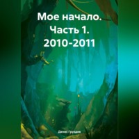 . Мое начало. Часть 1. 2010-2011