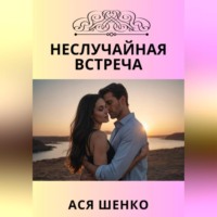 Ася Шенко. Неслучайная встреча