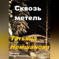 . Сквозь метель