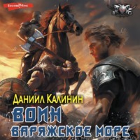 . Варяжское море. Воин