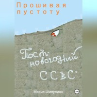 Мария Борисовна Шипулина. Прошивая пустоту. Постновогодний ССВС
