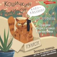 Зоя Арефьева. Кошичкин тилипон. Правдиви истори о котиках и их никчемни. Экспресс-помощь для тех, кто застрял в рутине и ищет вдохновение