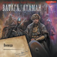 Александр Прозоров. Ватага. Воевода