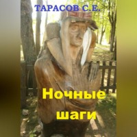 . Ночные шаги