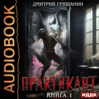 Дмитрий Гришанин. Практикант. Книга 1
