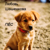 . Пёс