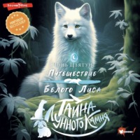 . Тайна Лунного камня