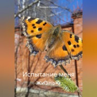 . Испытание меня жизнью