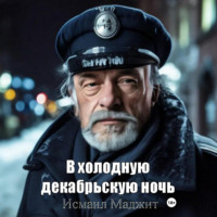 . В холодную декабрьскую ночь