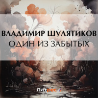 Владимир Михайлович Шулятиков. Один из забытых