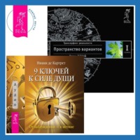 Вадим Зеланд. 9 ключей к силе души: От заблуждений – к истине. Трансерфинг реальности. Ступень I: Пространство вариантов