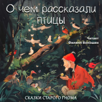 . О чём рассказали птицы