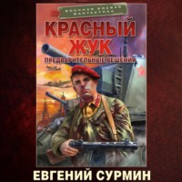 . Красный Жук. Предварительные решения