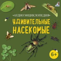 Александр Тихонов. Аудиоэнциклопедия. Удивительные насекомые