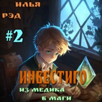 Илья Рэд. Инвестиго. Из медика в маги. Том 2