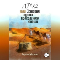 Зарема Салхудиновна Мусаева. № 12, или История одного прекрасного юноши