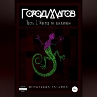 . Город Магов. Часть I. Мастер по заклятиям