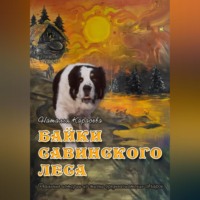 Наталья Карасёва. Байки Савинского леса