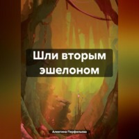 . Шли вторым эшелоном