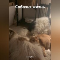 . Собачья жизнь