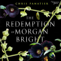 . The Redemption of Morgan Bright (Unabridged)