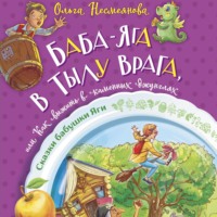 . Баба-яга в тылу врага, или Как выжить в каменных джунглях