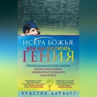 Кристин Барнетт. Искра Божья, или Как воспитать гения