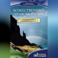 . Божественный правопорядок. Истинный смысл жизненных явлений