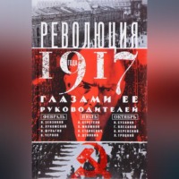 Группа авторов. Революция 1917 года глазами ее руководителей