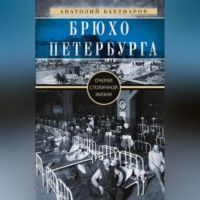 . Брюхо Петербурга. Очерки столичной жизни