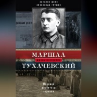 . Маршал Тухачевский. Мозаика разбитого зеркала