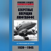 . Секретные операции люфтваффе. От Гренландии до Ирака. 1939–1945