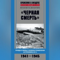 Дмитрий Дёгтев. «Черная смерть». Правда и мифы о боевом применении штурмовика ИЛ-2. 1941-1945