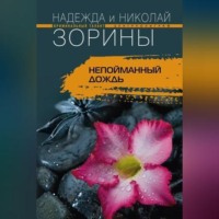 Николай Зорин. Непойманный дождь