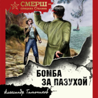 Александр Тамоников. Бомба за пазухой