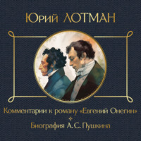 . Комментарии к роману «Евгений Онегин». Биография А. С. Пушкина