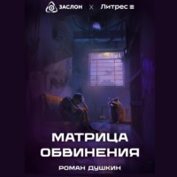 . Матрица обвинения
