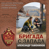 . Бригада с запада