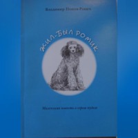 . Жил-был Ромик