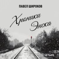 . Хроники Энска