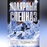. Ледяная пуля